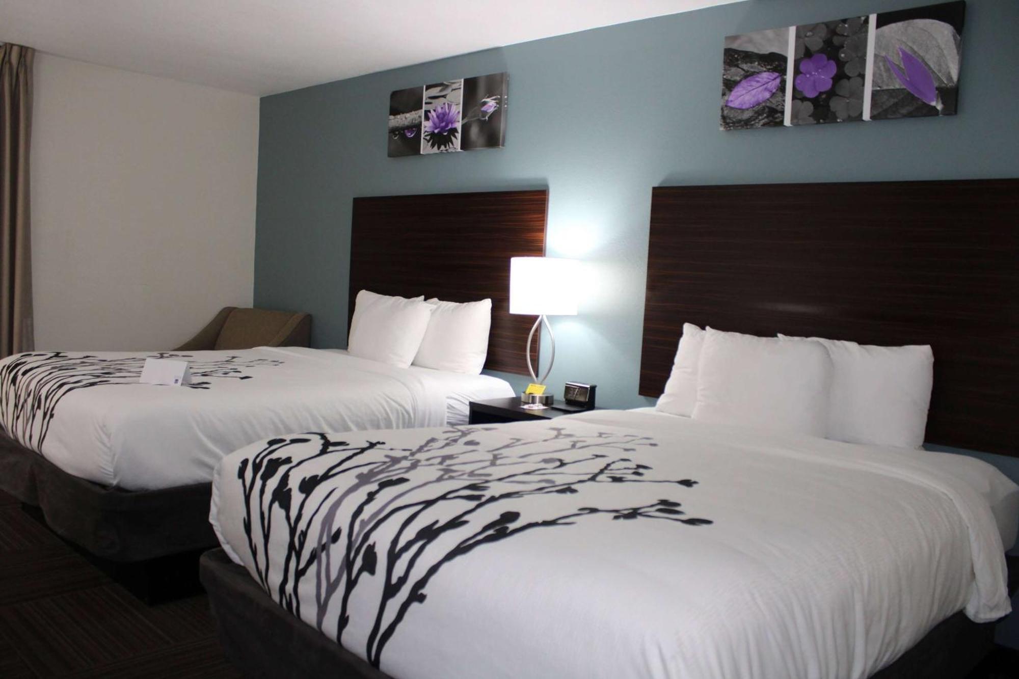 Wingate By Wyndham Kings Bay Naval Base I-95 Hotel Kingsland Buitenkant foto